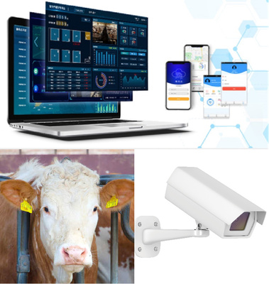 科技+金融賦能養殖農戶 金惠家牧科開啟智慧養殖新時代